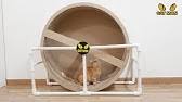 Build the frame first and then adjust the cat wheel inside. How To Make A Cat Exercise Wheel Youtube