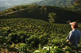 While there are many beautiful, undiscovered areas where you will be able to pitch your. Pin On Puerto Rico