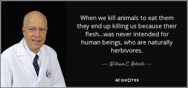 William C. Roberts quote: When we kill animals to eat them they end up...