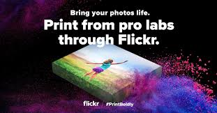 • we're committed to making flickr a better place to grow, and we'd like to hear your feedback. Flickr Fotos Facebook
