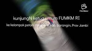 Porang dapat hidup subur pada hutan tropis. Kunjungan Kerja Pertemuan Fumkm Ri Prov Jambi Dng Kelompok Petani Porang Dkab Marangin Youtube