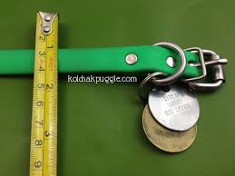 Nov 25, 2020 · if your dog is chilly on its daily walks, knit your canine companion a sweater! 24 Fabric Flowers To Brighten Up Your Dog S Collar Kol S Notes