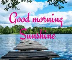 We did not find results for: Lovely Good Morning Sunshine Images Best Collection Good Morning Sunshine Good Morning Love Good Morning Handsome Quotes