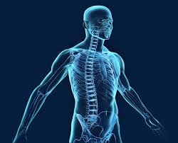 Resultado de imagen de nervios