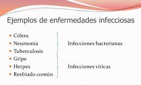 Hablamos sobre qué es una enfermedad infecciosa, cómo se transmite y qué tipos de agentes infecciosos pueden causarlas. Las Enfermedades Infecciosas En 2021 Enfermedades Enfermedad Infecciosa Tipos De Enfermedades