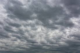 We did not find results for: 400 Grey Cloud Background Pictures