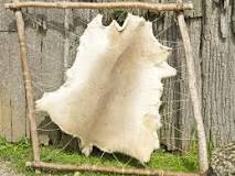 Image result