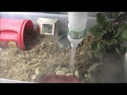 Pin On Reptile Foggers
