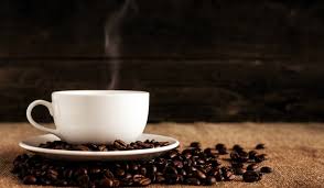 Image result for Coffea salvatrix