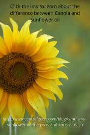 Pros Cons Canola And Sunflower Oil In 2020 Sunflower Sunflower Photo Homeopathy