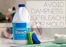 We did not find results for: How To Get Rid Of Dampness And Humidity In The Home Dengarden