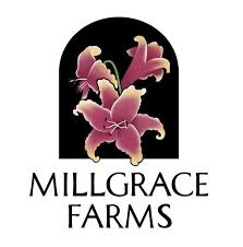 Find this bakery in college square mall, morristown, tn, 37813. Millgrace Farms Home Facebook