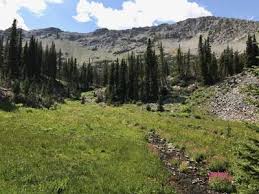 We did not find results for: Controversial Trail In Crazy Mountains To Open Friday Environment Bozemandailychronicle Com