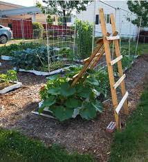 Dave A Culture Bgi Beat A Permaculture Information Center May 2012 Garden Layout Vegetable Backyard Farming Vertical Garden