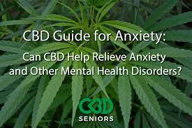 But if you start feeling. Cbd Guide For Anxiety Can Cbd Help Relieve Anxiety And Other Mental Health Disorders Sponsored Content News Blog