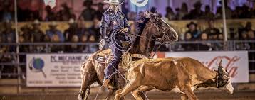 Cheap gardening cactus and succulents or sale. Cactus Saddlery