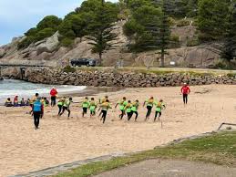 Week 5, Term 1 2024 Newsletter