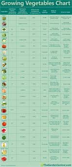 Growing Your Own Vegetables A Chart To Help Knowing What