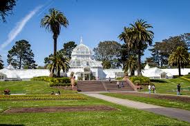 The conservatory of flowers is a greenhouse and botanical garden that houses a collection of rare and exotic plants in golden gate park, san. Free Day At Conservatory Of Flowers San Francisco Parks Alliance
