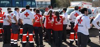 Cruz roja comunidad de madrid, madrid, m. Https Www2 Cruzroja Es Voluntariado