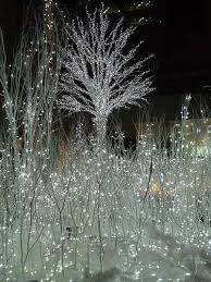 Christmas Wonderland Of Lights Winter Wonderland Christmas Party Winter Wonderland Christmas Christmas Wonderland