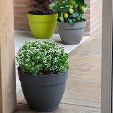 We send full care guides to help you look after your new plants. Garden Planter Pots Containers Garden Accessories Suttons