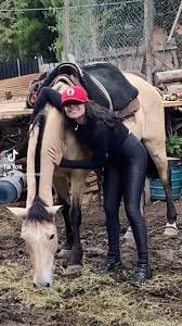 Cavalos da argentina, amei conhecer voces! A maioria é mestiço de cavalos  criolos, no sul do brasil é ate facil encontrar mas como sou de minas,  nunca tinha visto 😱 #cavalo #cavalos #cavalocrioulo ...