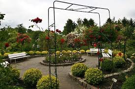 Fotobox Rosarium Wilhelmshaven Www Schmid Gartenpflanzen De Rosen Forum Garten Garden Rose Garden