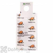 Check spelling or type a new query. Beneficial Nematodes Biological Pest Control Parasitic Predatory Nematode Worms