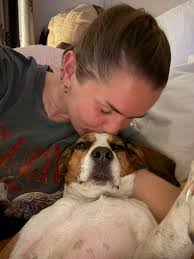 Frodo (now Merlin) picked up today for his forever home, now relaxing but  being observed by Holly!!!