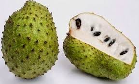 Image result for Annona muricata