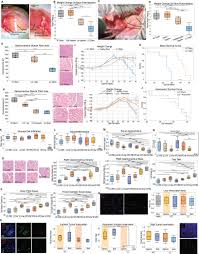 Vagal blockade of the brain-liver axis deters cancer-associated cachexia:  Cell