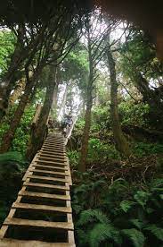 There Is Always A Way West Coast Trail Hiking Trip Outdoors Adventure