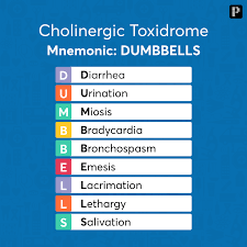 Image result for Cholinergic Toxicity