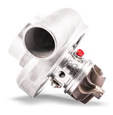 Image result for Turbina longiflora