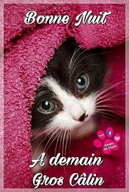 epingle par boyer sur facebook bonne nuit nuit calin