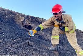 May 31, 2021 · seoul: 8wezfp3w1cnogm