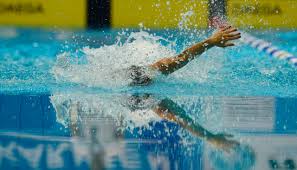 Annika bruhn anna elendt lisa höpink laura riedemann. Sechs Von Sieben Normen Unterboten Olympiaquali Der Dsv Staffeln Swim De