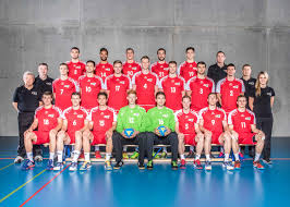 Hier erhältst du alles, was das handballherz höher schlagen lässt. Handball Em Qualifikationsspiel Sui Ger Events Tickets Hallenstadion Zurich