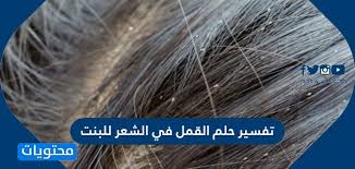 تفسير حلم القمل في الشعر للبنت و العزباء والمتزوجه موقع محتويات