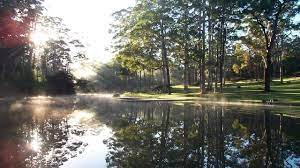Maybe you would like to learn more about one of these? Pemberton Pool Wa Roadtrippers