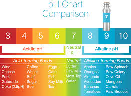 Get Stronger Muscles And Bones By Raising Your Ph Healthy