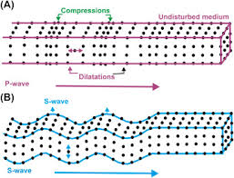 For example, the seismic (earthquake) waves produced in the interior of earth travel both in the form of longitudinal and transverse waves. Longitudinal Wave An Overview Sciencedirect Topics