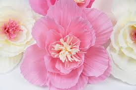 .for bridal shower teapot tea party baby shower decoration backdrops. Crepe Paper Happyfield Handcrafted Large Crepe Paper Flowers For Baby Showers Decor Bridal Shower Decor Birthday Party Decor Wedding Backdrop Nursery Wall Decor Home Decorations Giant Paper Flowers Backdrop Paper