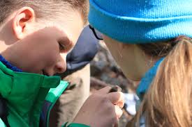 Bird Banding with Professor Noah Perlut — Maine Young Birders Club