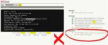 Validation - Why Is Php Discriminating Between .Php And .Abc Extensions For  Caching? - Stack Overflow
