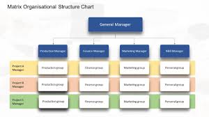 7 types of organizational chart templates that you can steal