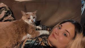 Lost cat near Mount Eagle, Tennessee?