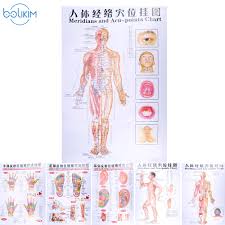 Us 13 93 50 Off Bolikim 6pcs English Hand Foot Ear Body Meridian Points Of Human Wall Chart Female Male Acupuncture Massage Point Map Flipchart In