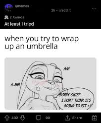 You didnt send a meme dumbass you sent cropped porn with no punchline :  rredditmoment